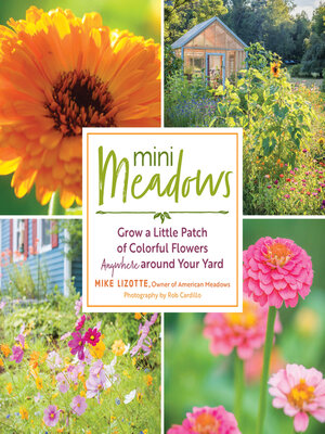 cover image of Mini Meadows